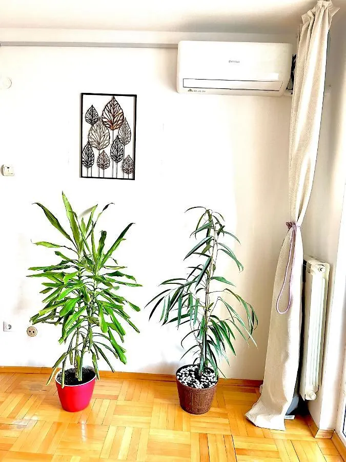 Vintage Bucharest Apartment 0*,