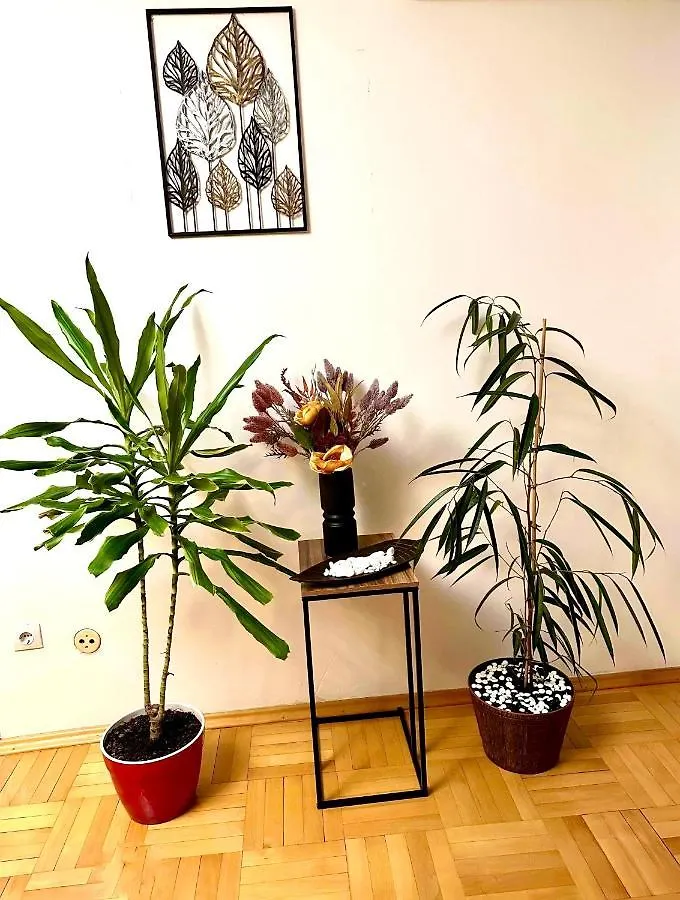 Vintage Bucharest Apartment